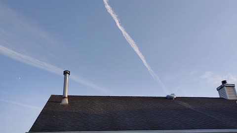 CHEMTRAIL🤑TRUMP💩CON MAN & FAILURE