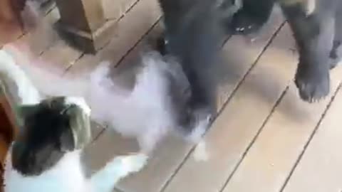 😍😂