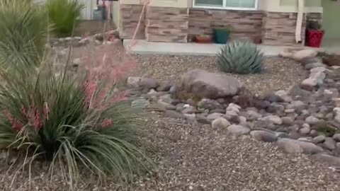 “Woman in New Mexico has just received a Notice of Code Compliance Violation from the Police Department“
