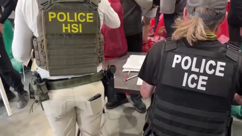 The American Dream Is Over — ICE Raids Hyundai–LG Battery Plant in Georgia