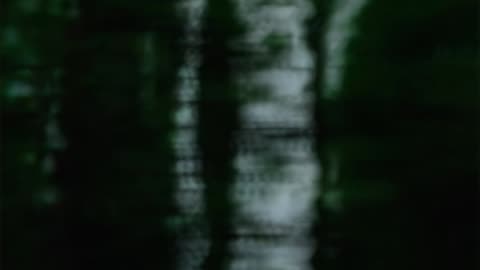 WAV - Dop Wind