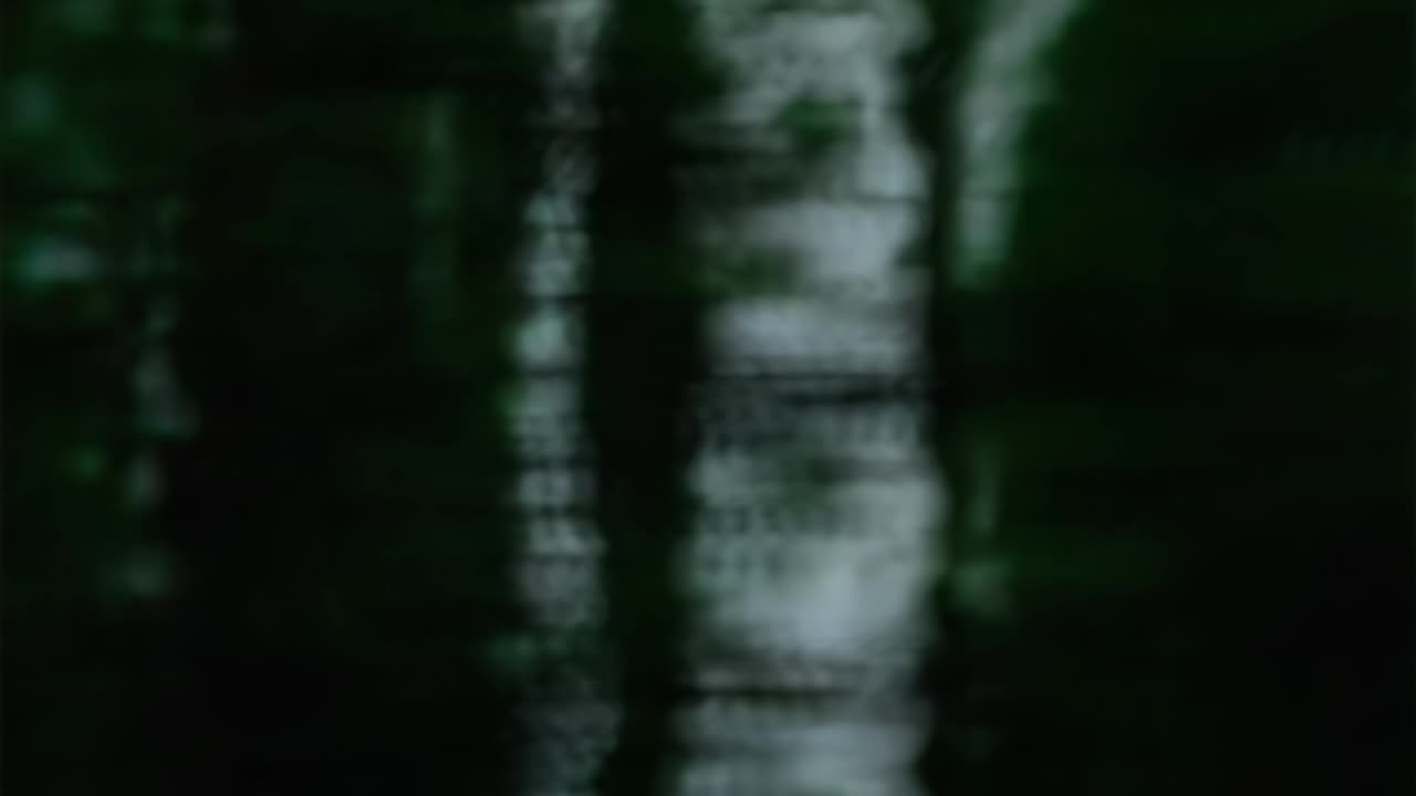 WAV - Dop Wind