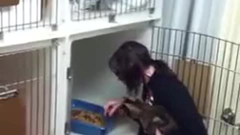 Woman snacks cat shit straight from the litter box