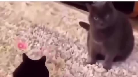 When you figure out where the Psyop is coming from.