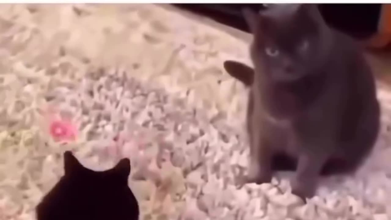 When you figure out where the Psyop is coming from.