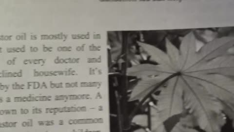 Castor Oil