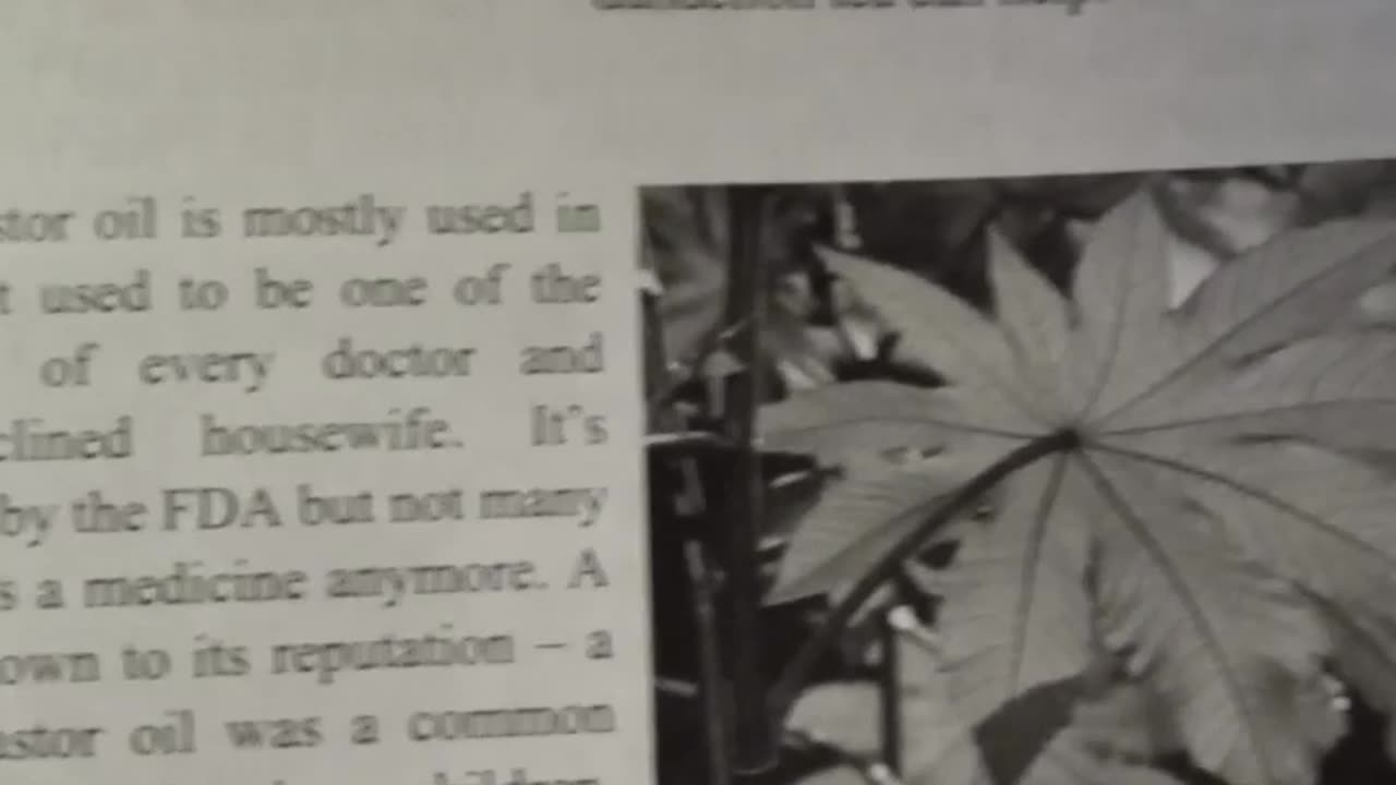Castor Oil
