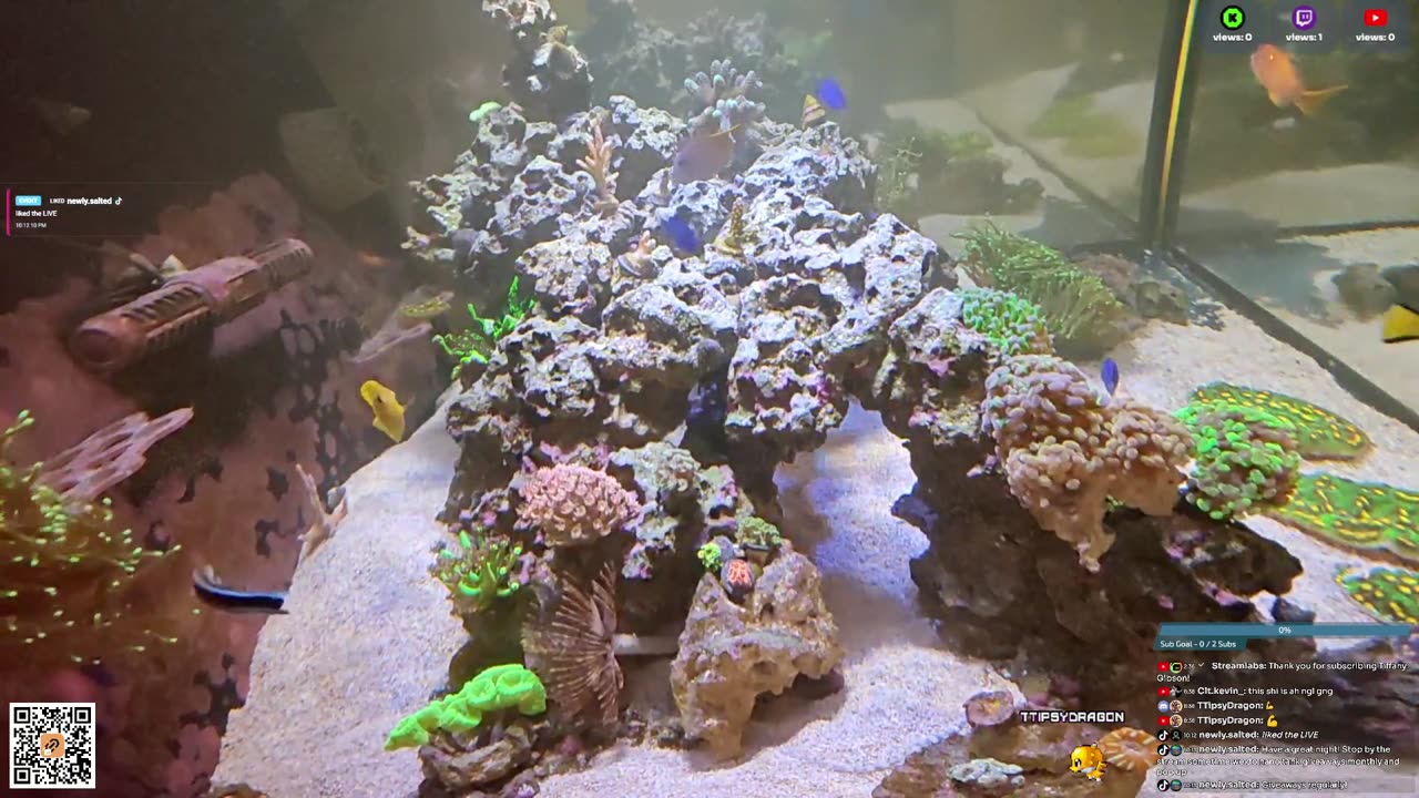 24/7 Real Live Reef Stream