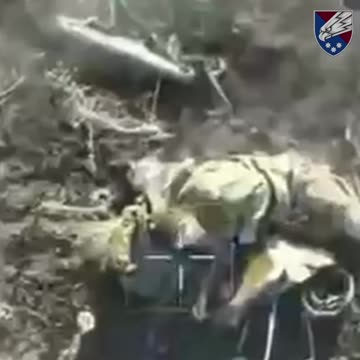 Brutal Drone Strikes on Russian Infantry Filmed by Ukrainian Paratroopers