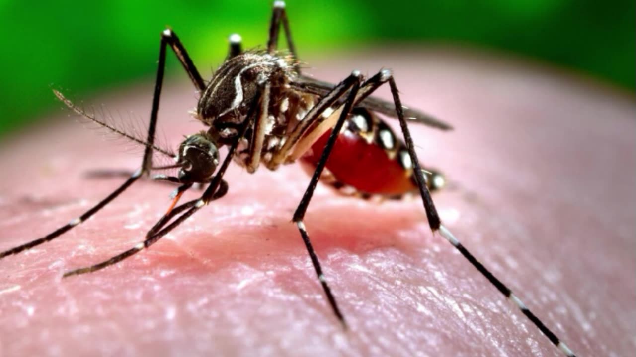 Toronto Public Health confirms first human case of West Nile virus