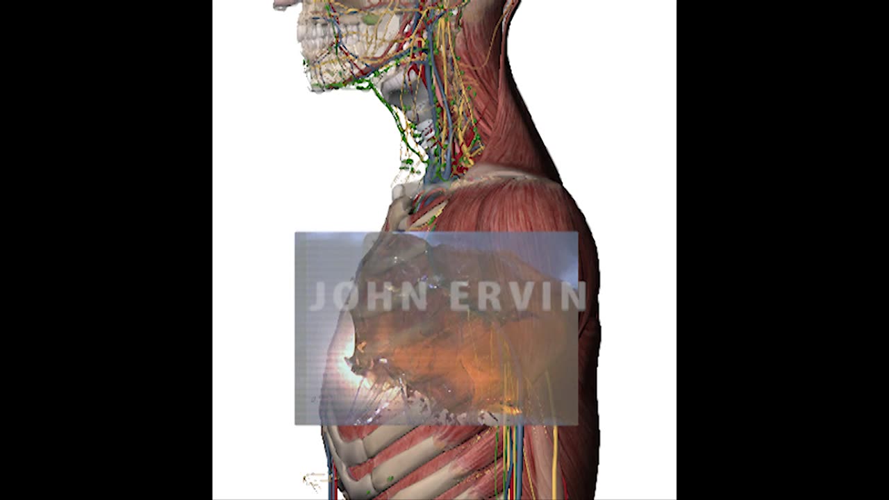 22-250 Remington damage potential