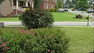 test live stream