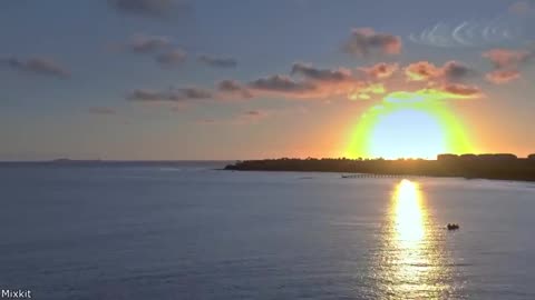 Your Daily Dose Of Internet