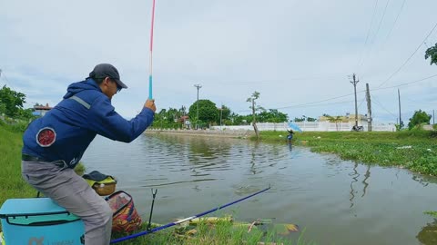 Carp Conservation Protecting Our River Giants