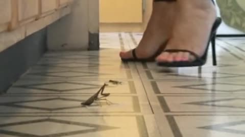The Uncaring High Heels