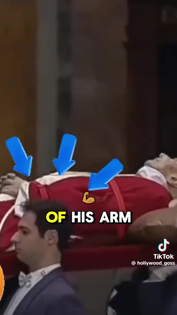 No Wonder There Are Large Bruises On The Side Of The Pope’s Head