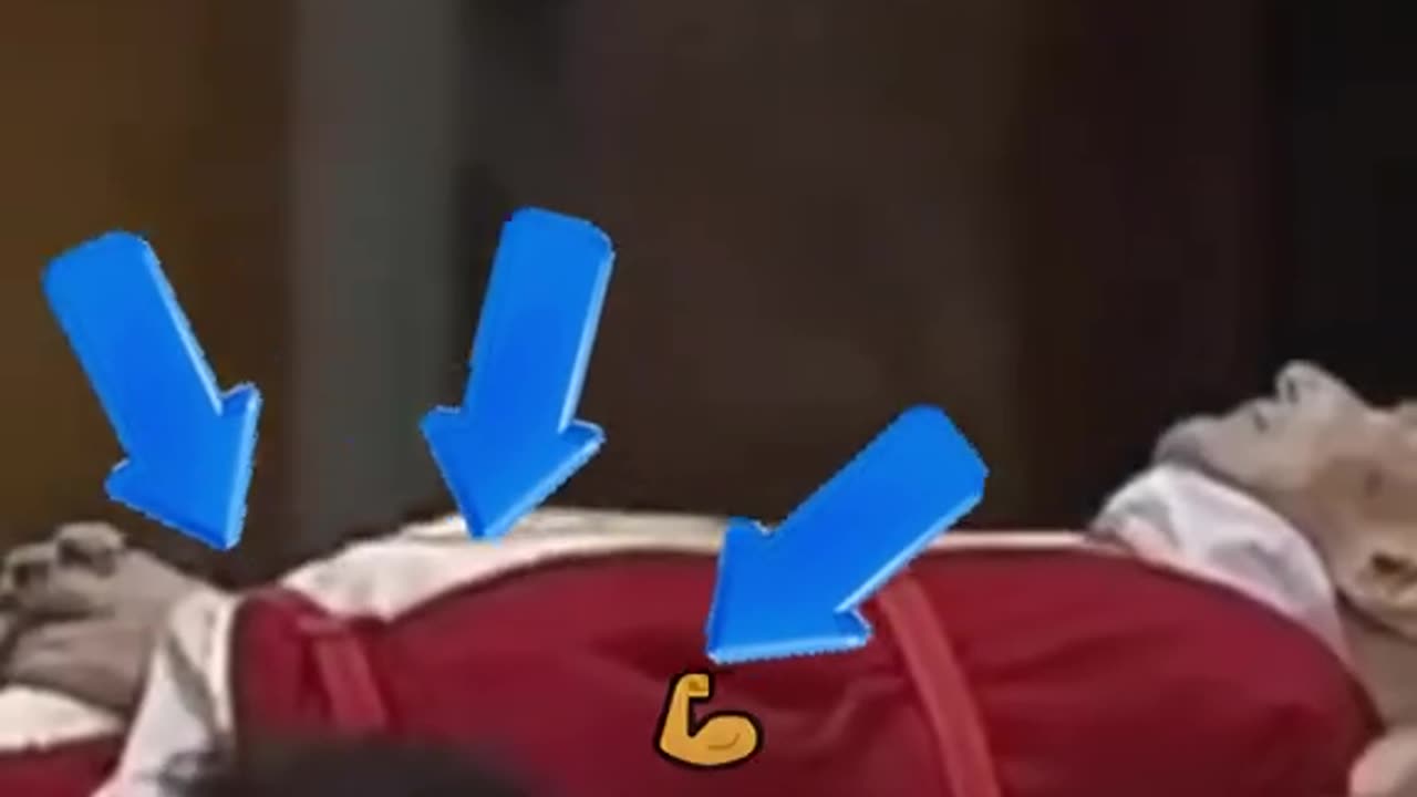 No Wonder There Are Large Bruises On The Side Of The Pope’s Head