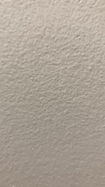 Books of Daniel and Revelation