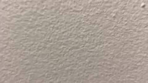 Books of Daniel and Revelation