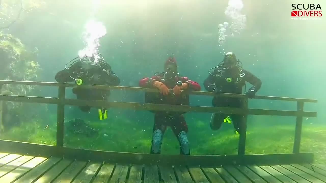 Grüner Sea lake in Austria 🇦🇹