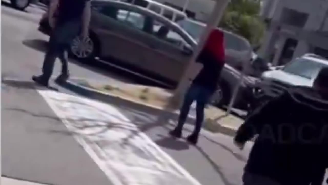 Stolen groceries