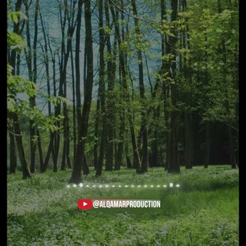 Surah Yaseen (11-16) | Only the Heart That Listens | A Message for Those Who Reflect