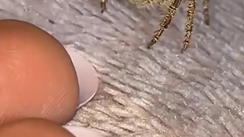 👁👄👁 I'm Always Watching! | FunFM