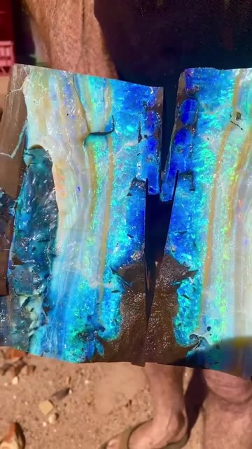 showcase nature's art, sometimes splitting into mirror images,