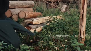 Camping in the Forest - No Shelter (ASMR) #shorts