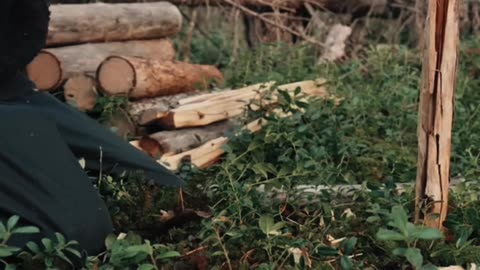 Camping in the Forest - No Shelter (ASMR) #shorts
