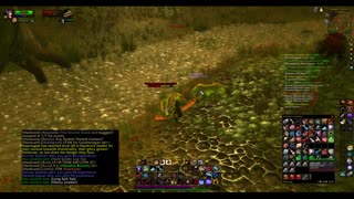 Turtle wow - Melee HC Slow and Steady Hunter - Part 74 - No commentary