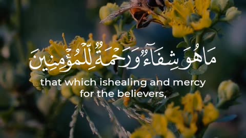 🔥Surah Al Isra 17:82📖💔سورہ الاسراء #love #quran #viral #shorts #trending #shortvideo #viralvideo