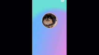Blackpink Bts taehyung v kpop 2025