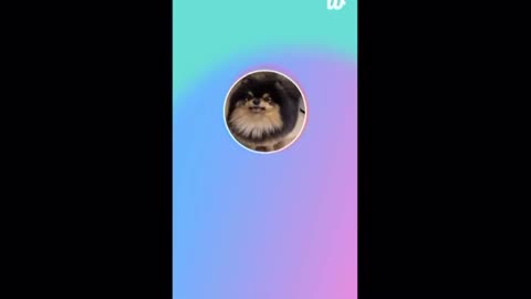 Blackpink Bts taehyung v kpop 2025