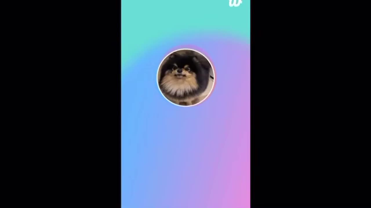 Blackpink Bts taehyung v kpop 2025