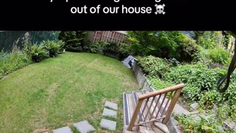 😂🐶 This Dog's Protection Plan is Hilarious! | FunFM