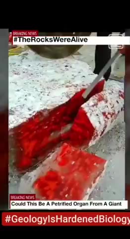 THE ROCKS WERE ALIVE