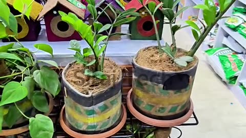 Coconut Husk Uses | Siraj Tech
