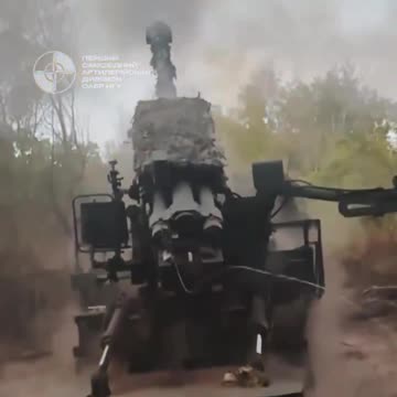 Ukrainian Self-Propelled Heavy Gun Sends Shell Through Roof of Bunker