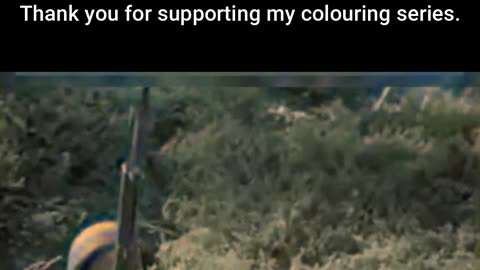 Strength in Unity US Army Motivational Training #ColourisedHistory