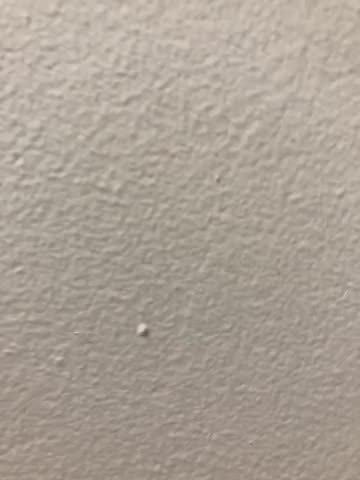 Transgender identity