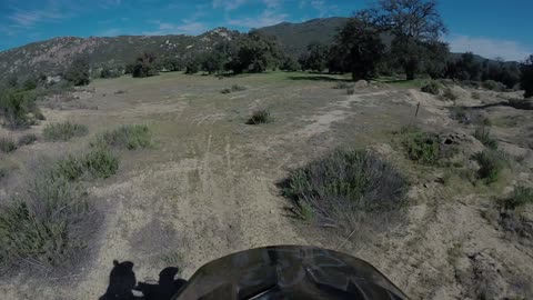 Backyard trails - 4b