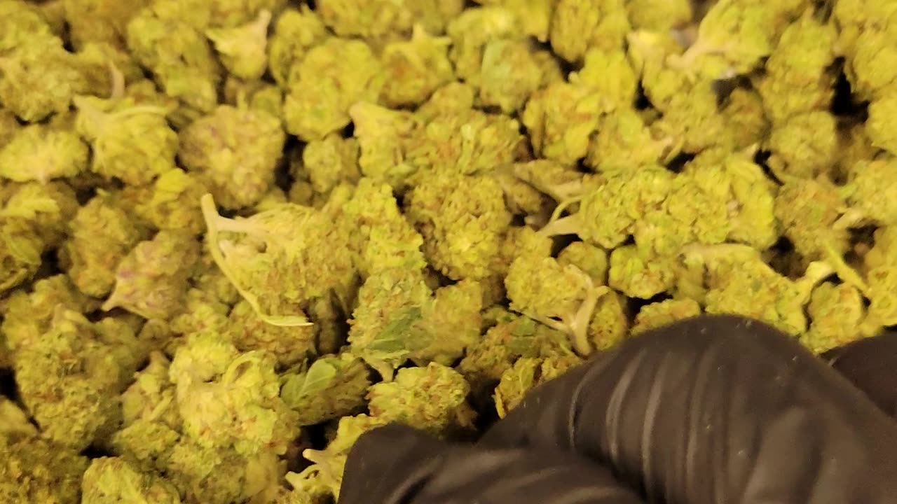 THC FLOWER by the Ounce