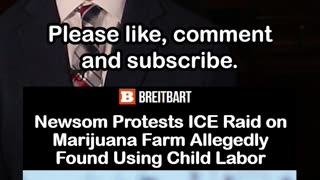 Newsom Slams ICE Raid on Marijuana Farm Accused of Using Child Labor