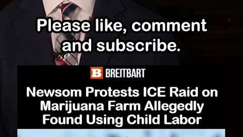 Newsom Slams ICE Raid on Marijuana Farm Accused of Using Child Labor