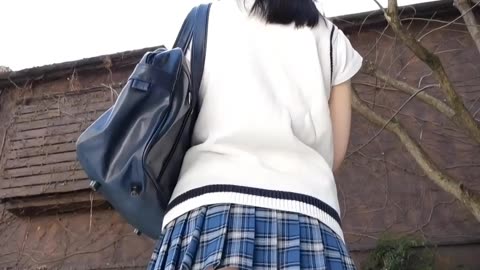 The Gravure Idols