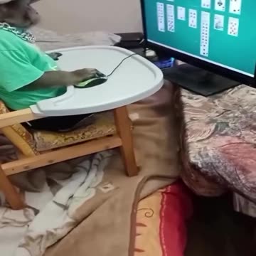 Working from home and pretending 😊