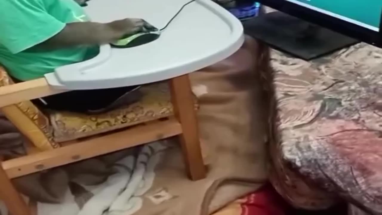 Working from home and pretending 😊