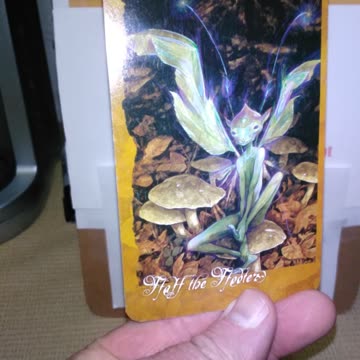 8-7-25 #fortunetelling