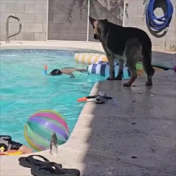 The dog is so worried.. 🥺 We don’t deserve them..